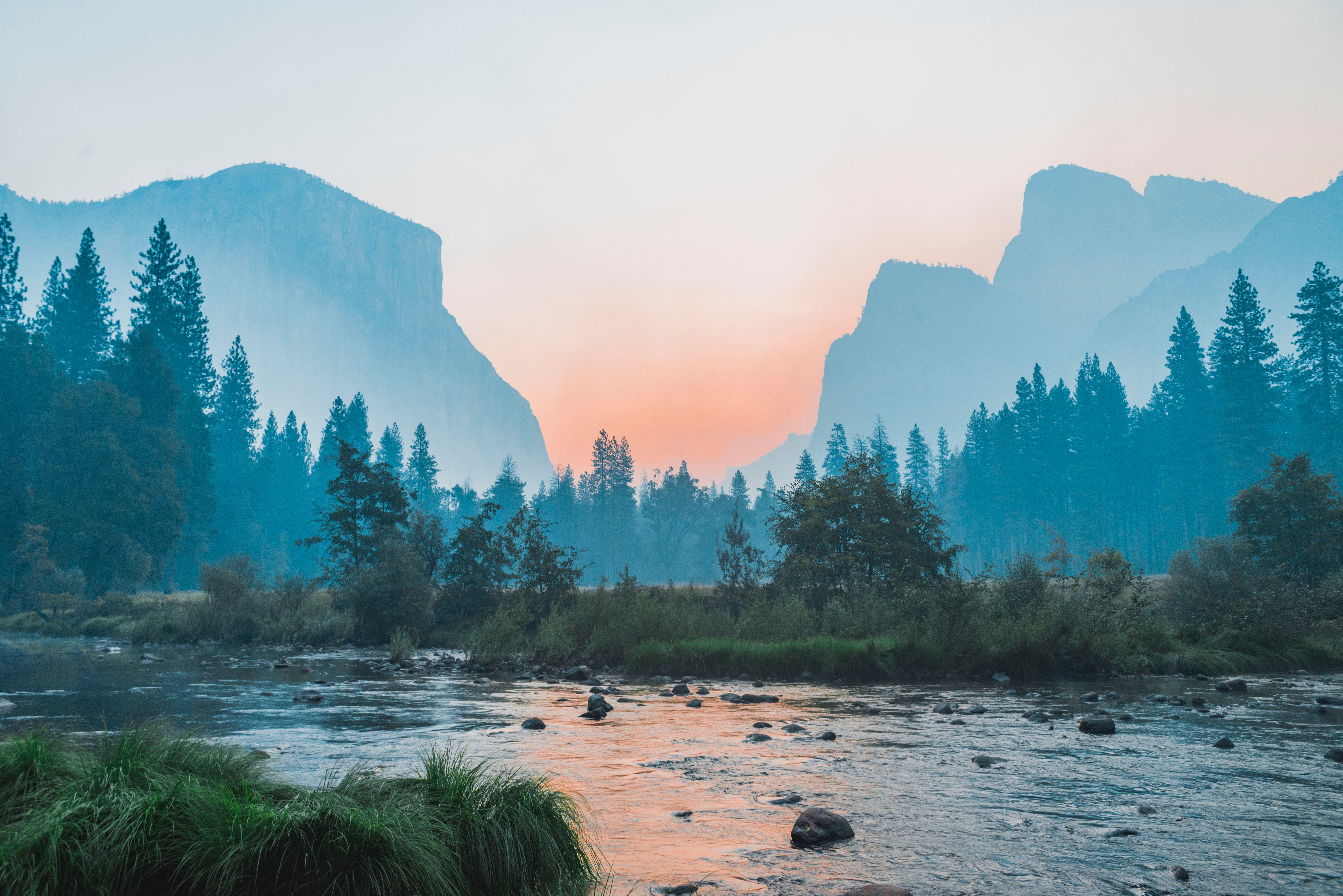 forest and mountains